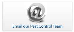 Pest Control Email Form